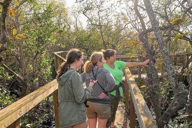 Half-day Everglades National Park Tour and 1-Hour Air Boat Ride - What the $189 price includes