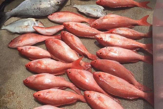 Half-Day Fishing Trip in Fort Lauderdale - Fishing instruction for first-timers
