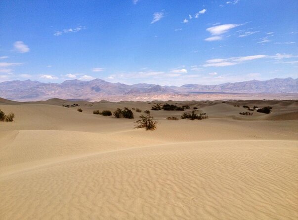 Half-Day Mojave Desert ATV Tour from Las Vegas - Leaving the Strip for the Mojave Desert