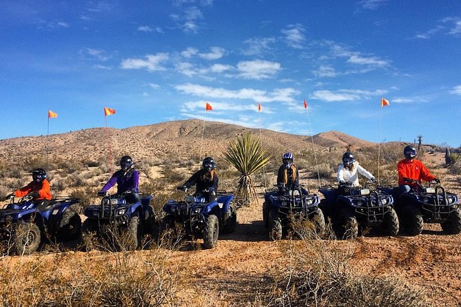 Half-Day Mojave Desert ATV Tour from Las Vegas - What the 1.5-hour Mojave ride is really like