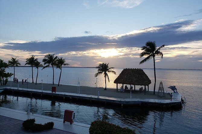 Half Day Snorkel Trip on Reefs in the Florida Keys - What the Snorkeling Is Like for Beginners
