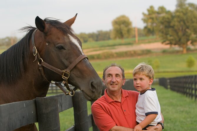 Half-Day Thoroughbred Horse Farm Tour in Kentucky - Riding through Bluegrass horse country