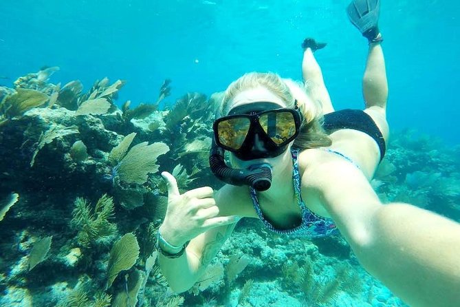 Half-Day Trip from Key West with Kayaking, Snorkeling & Sunset - Group size, comfort, and the crew