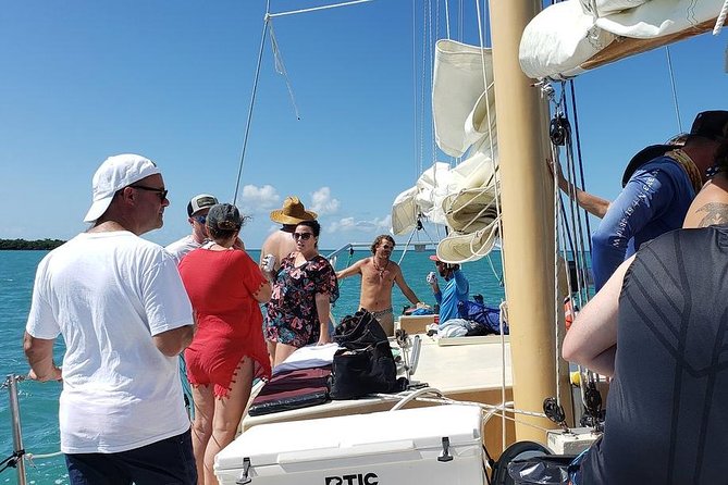 Half-Day Trip from Key West with Kayaking, Snorkeling & Sunset - Morning or afternoon: choose by your priorities