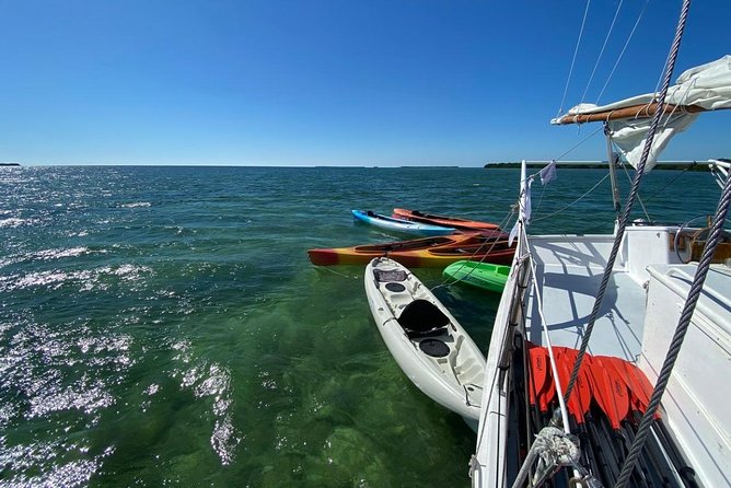 Half-Day Trip from Key West with Kayaking, Snorkeling & Sunset - Kayaking through the mangrove backcountry