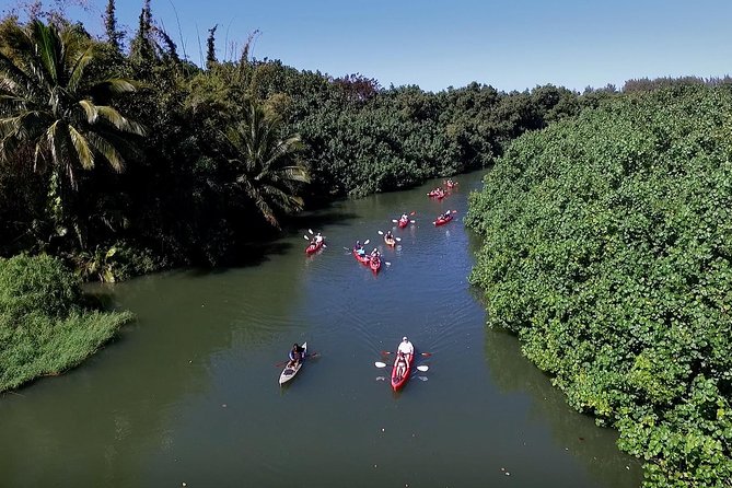 Hanalei Bay Morning Kayak and Snorkel Tour - Who Will Enjoy This Tour Most?