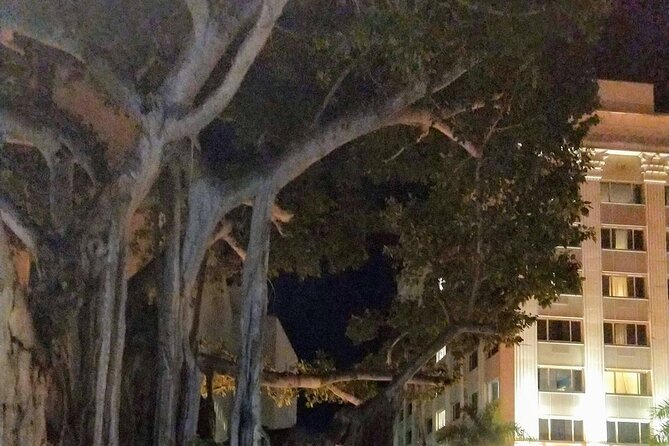Haunted History of Fort Myers Walking Tour - The Indigo Room and the final stretch