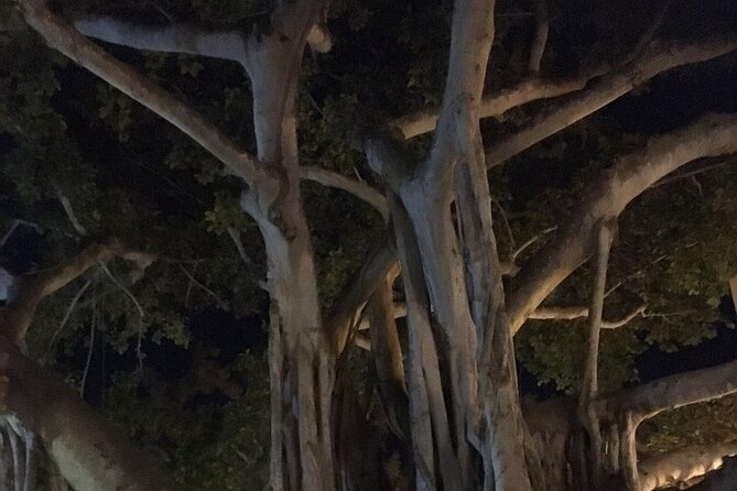 Haunted History of Fort Myers Walking Tour - What makes the guides the heart of the tour
