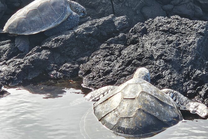 Hawaii Volcanoes, Waterfalls, Beaches & Hilo Highlights Day Tour - Liliʻuokalani Gardens Along Hilo Bay