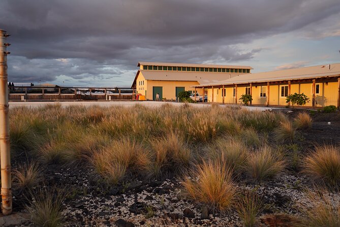 Hawaiian Salt Farm Tour in Kona - Following the hand-harvesting process
