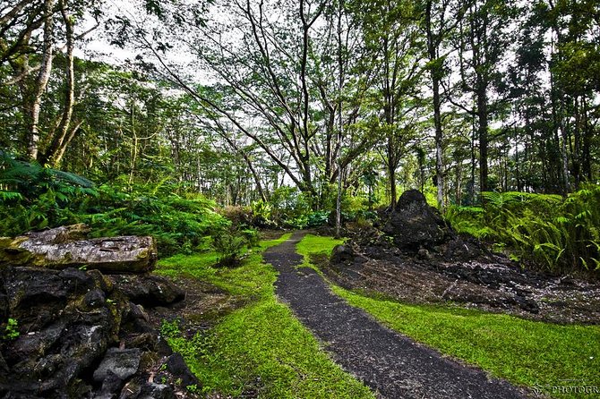 Hilo Shore Excursion: Volcano Safari Lava Caves & Black Sand - Pohoiki and Hawaii’s newest black-sand coast