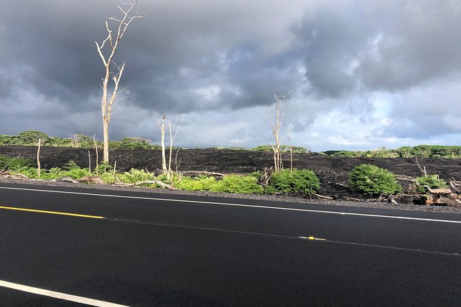 Hilo Shore Excursion: Volcano Safari Lava Caves & Black Sand - Lunch, timing, and the small-group tradeoff
