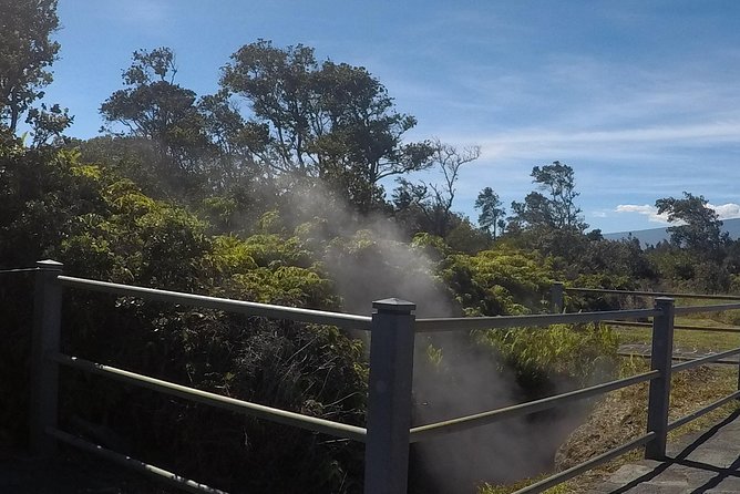 Hilo Shore Excursion: Volcanoes National Park & Black Sand Beach - Why this works well for a short Hilo port call