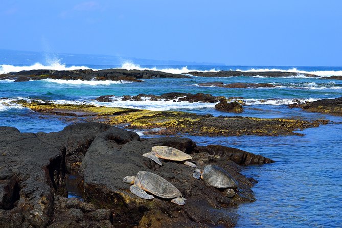 Hilo Shore Excursion: Volcanoes National Park & Black Sand Beach - Macadamia treats and a practical food stop