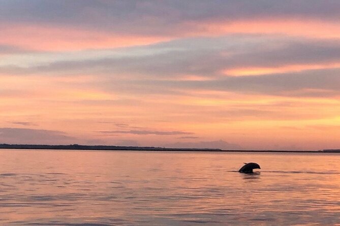 Hilton Head Island Dolphin Boat Cruise - Is $39.99 a fair price?