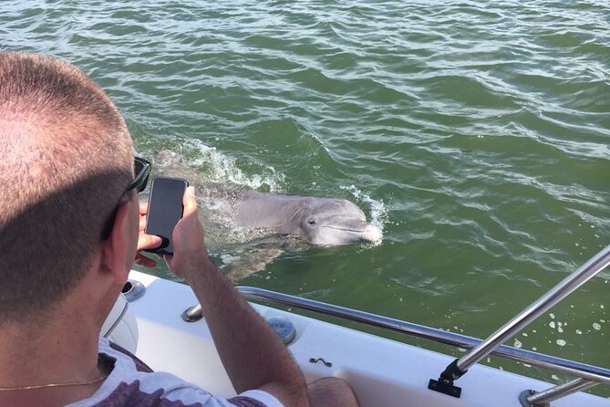 Hilton Head Island Dolphin Boat Cruise - Who will enjoy this cruise most?