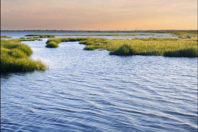 Hilton Head Island Ocean Dolphin Cruise - Finding dolphins in their natural home