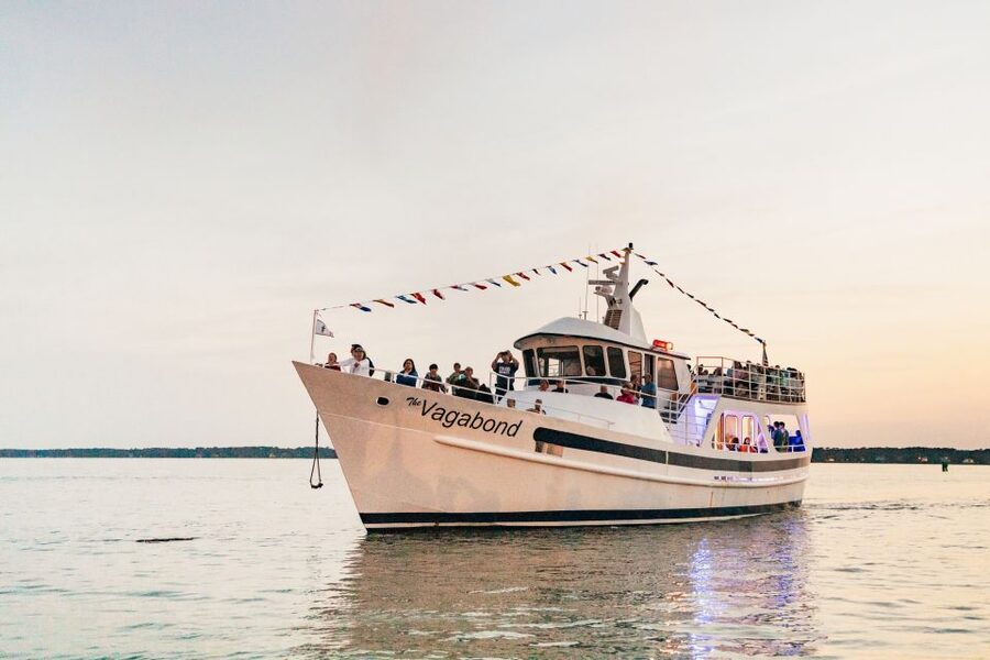 Hilton Head Island: Sunset Dolphin Cruise - Key points to know before boarding