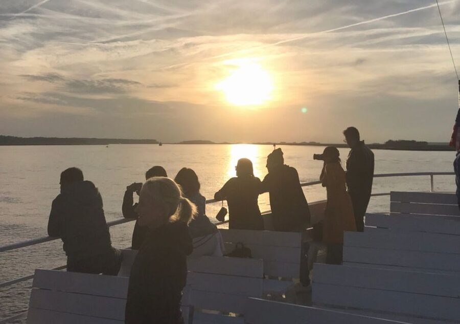 Hilton Head Island: Sunset Dolphin Cruise - From Harbour Town Pier to open water