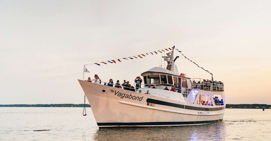 Hilton Head Island: Sunset Dolphin Cruise - Searching for Atlantic bottlenose dolphins