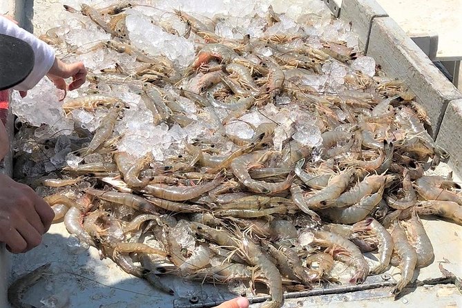 Hilton Head Shrimp Trawling Boat Cruise - Reaching the Tammy Jane at Harbour Town