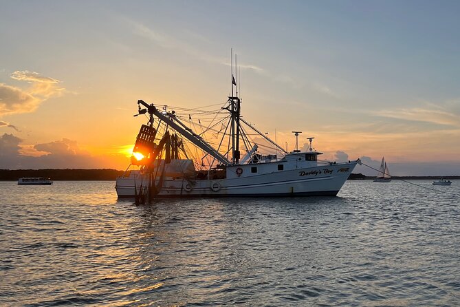 Hilton Head Shrimp Trawling Boat Cruise - Why families tend to like this outing