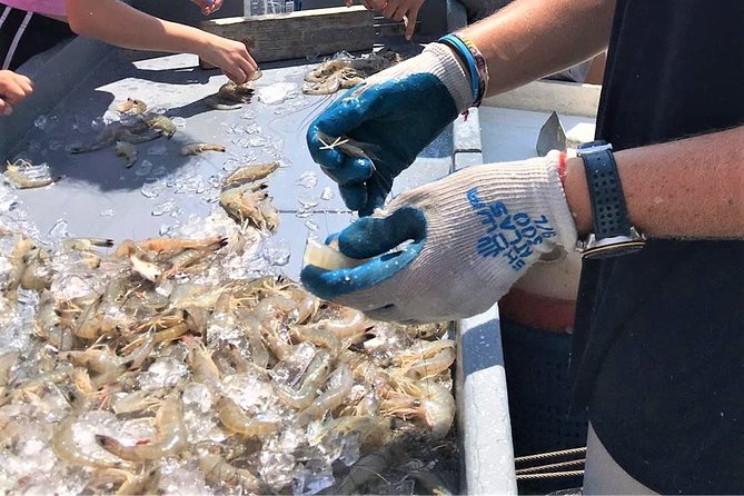 Hilton Head Shrimp Trawling Boat Cruise - The value of $50 per person