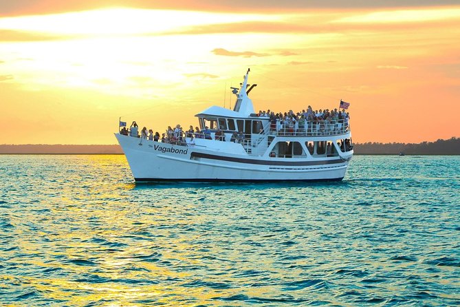 Hilton Head Sunset Dolphin Watching Cruise - Weather, cancellations, and small practical details