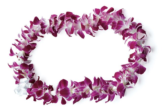 Honolulu Airport: Waikiki Private Transfer With Lei Greeting - The orchid lei sets the tone