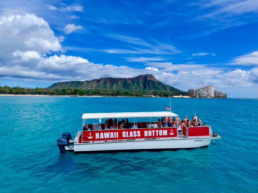 Honolulu: Glass Bottom Boat Tour along Oahu's South Shore - The glass viewing windows and what you may see