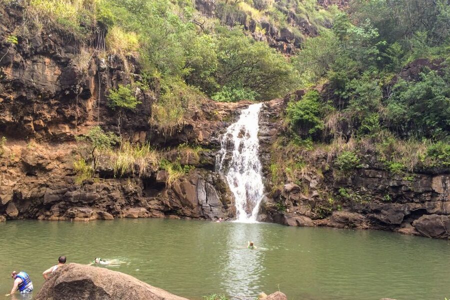 Honolulu: Oahu Island Full-Day Guided Tour by Bus with Lunch - The North Shore, famous beaches from a moving window