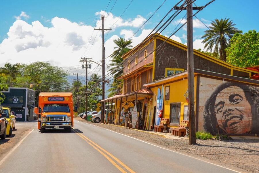 Honolulu: Oahu Island Full-Day Guided Tour by Bus with Lunch - Lunch keeps the schedule moving