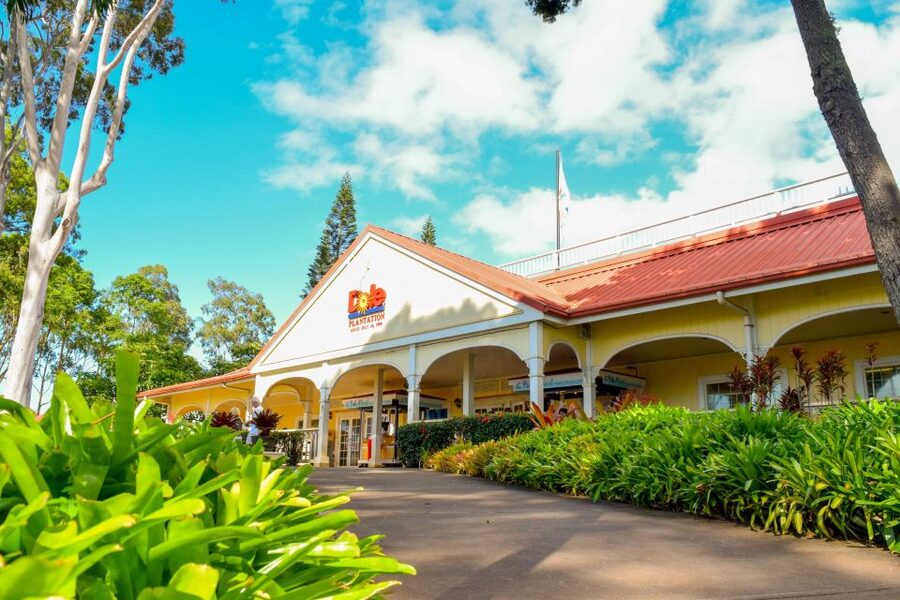 Honolulu: Oahu Island Full-Day Guided Tour by Bus with Lunch - Dole Plantation, pineapples, and extra charges