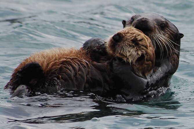 Hoonah Whale-Watching Cruise - Near Icy Strait Point - Warm seating, outdoor views, and Alaska weather