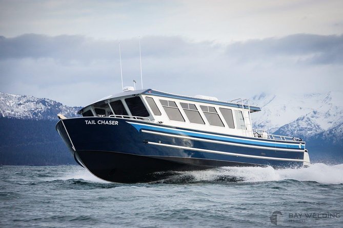 Hoonah Whale-Watching Cruise - Near Icy Strait Point - Humpbacks, orcas, and the wildlife roll call