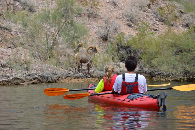 Hoover Dam & Hot Springs Kayak Tour with Lunch & Expert Guide - Arizona Hot Springs and the sauna cave