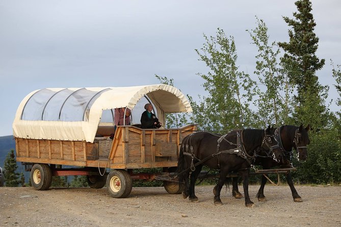 Horse-Drawn Covered Wagon Ride with Backcountry Dining - Is the $112.25 Price Fair?