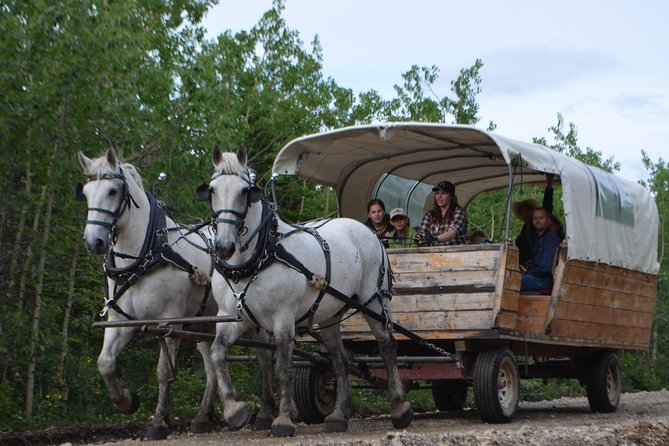 Horse-Drawn Covered Wagon Ride with Backcountry Dining - Who Will Enjoy This Most?