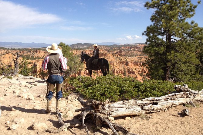 Horseback Riding Experience through Red Canyon with a Guide - Key points to know before you book