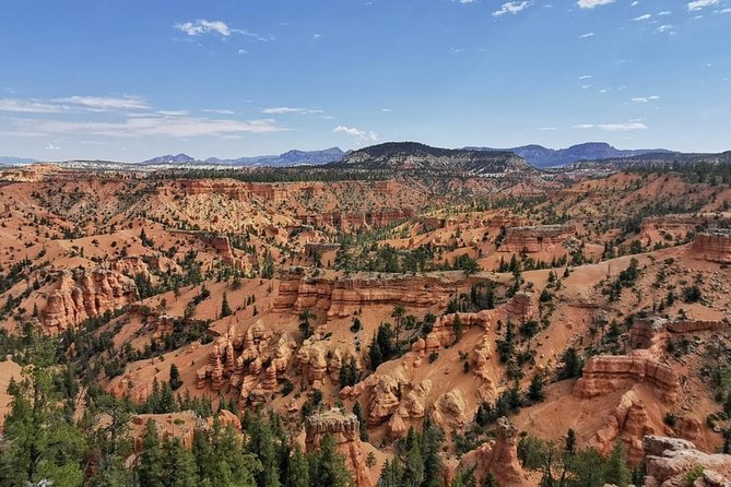 Horseback Riding Experience through Red Canyon with a Guide - Why Red Canyon is a good place to ride