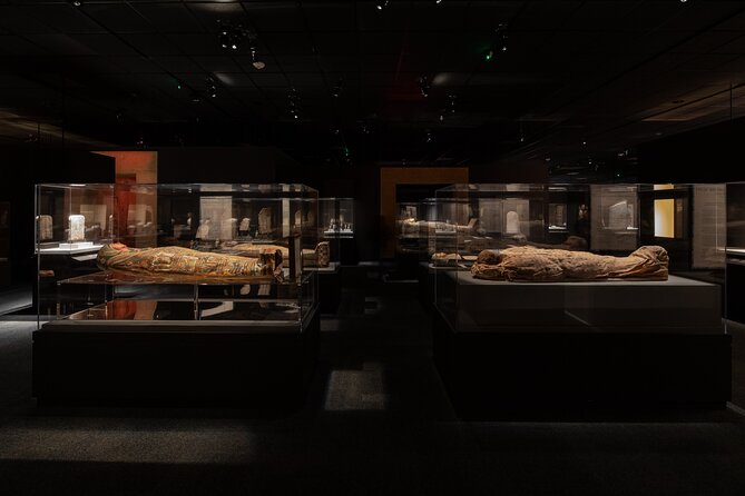 Houston Museum of Natural Science General Admission - Wildlife and world cultures add variety