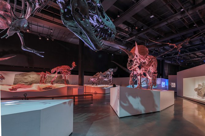 Houston Museum of Natural Science General Admission - The Gems & Minerals hall slows the pace