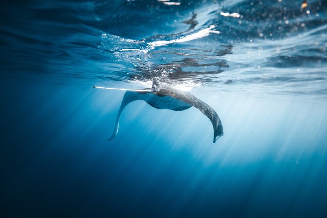 'Imiloa Express Nā Pali Snorkel Tour - Who should book the Imiloa Express?