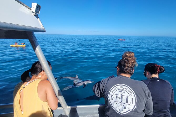 'Imiloa Express Nā Pali Snorkel Tour - What you see along the cliffs and valleys