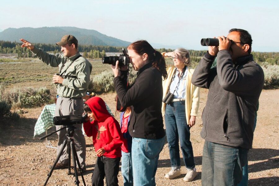 Jackson: Grand Teton National Park Guided Wildlife Tour - The animals you may see