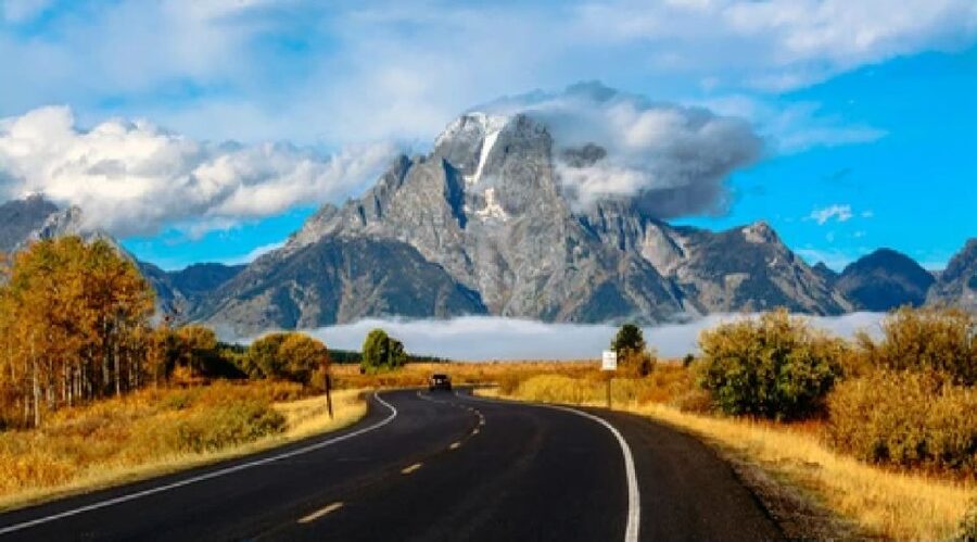 Jackson: Grand Teton National Park Guided Wildlife Tour - Who will get the most from this tour