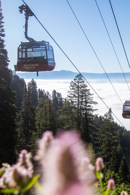 Jackson Hole: Aerial Tram and Gondolas Sightseeing - Key points to know before you go
