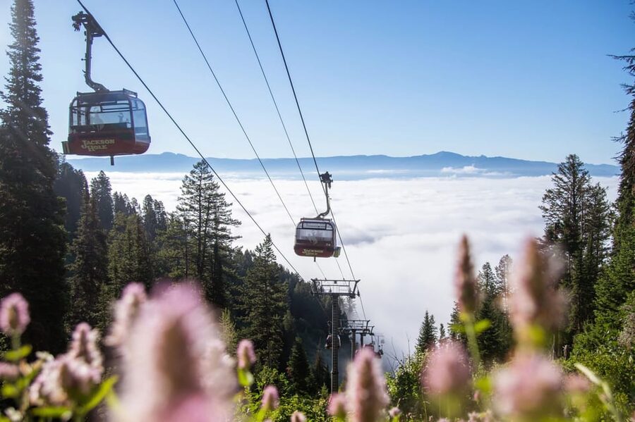 Jackson Hole: Aerial Tram and Gondolas Sightseeing - Hiking beyond the tram summit