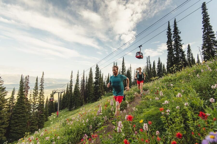Jackson Hole: Aerial Tram and Gondolas Sightseeing - What the $55 ticket is really worth