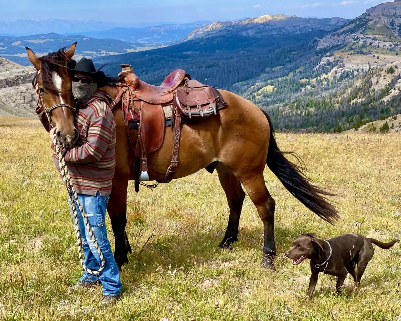 Jackson Hole: Bridger-Teton National Forest Horseback Ride - Starting at one of Wyoming’s old dude ranches